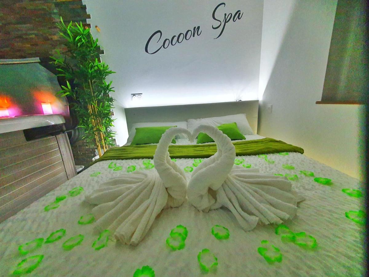 -Gite Cocoon Spa-Jacuzzi-Jardin-Parking Prive-Climatisation Holtzwihr Екстер'єр фото