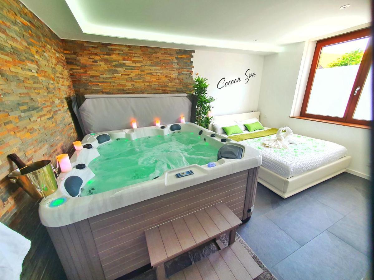 -Gite Cocoon Spa-Jacuzzi-Jardin-Parking Prive-Climatisation Holtzwihr Екстер'єр фото